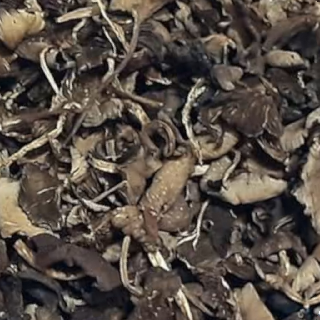 Mushroom/Djondjon/ bag 5x8 In .